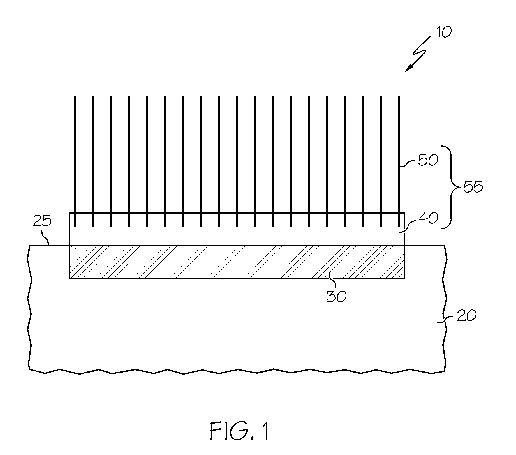 Metal-free vertically-aligned nitrogen-doped carbon nanotube catalyst for fuel cell cathodes