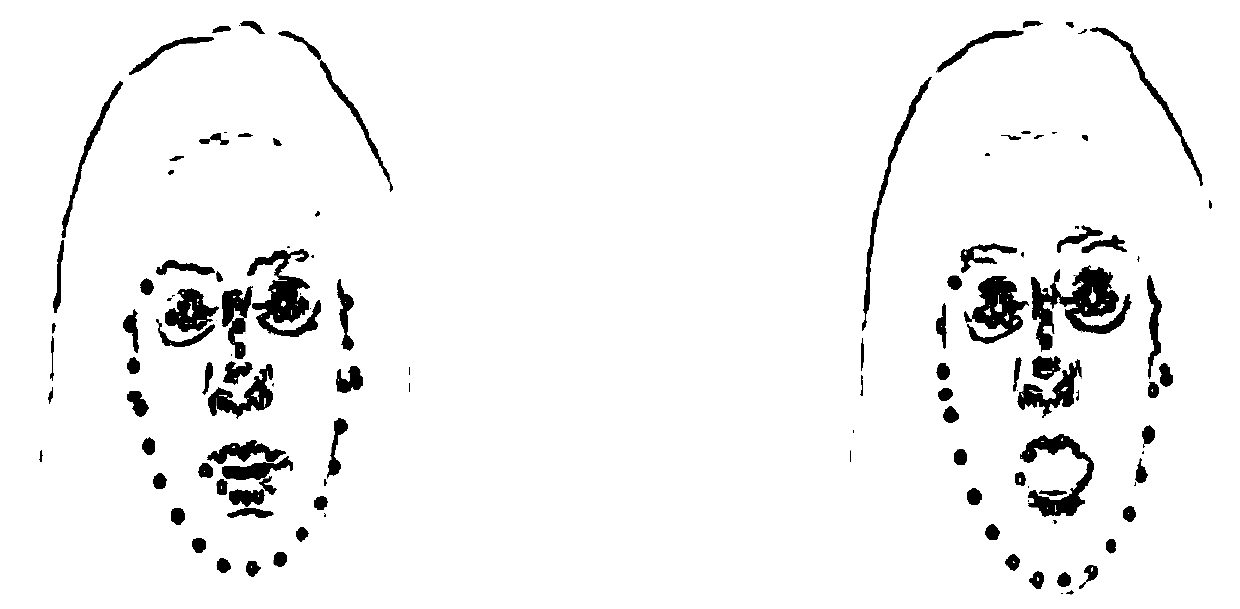 Dynamic Facial Expression Recognition Method