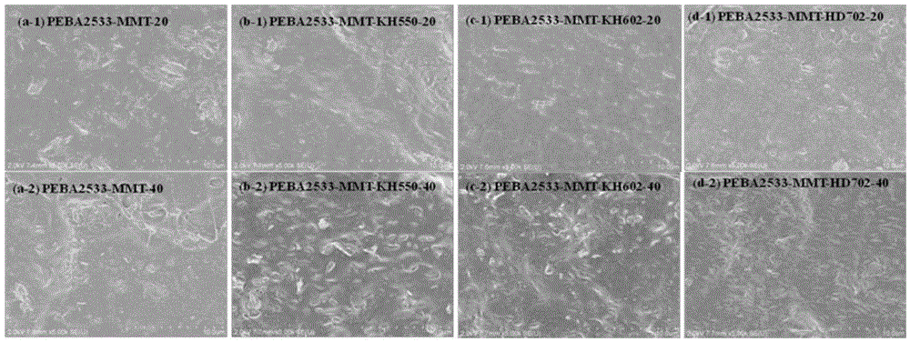 Polyethylene glycol functionalized montmorillonite/polyether copolyamide mixed matrix membrane used for gas separation