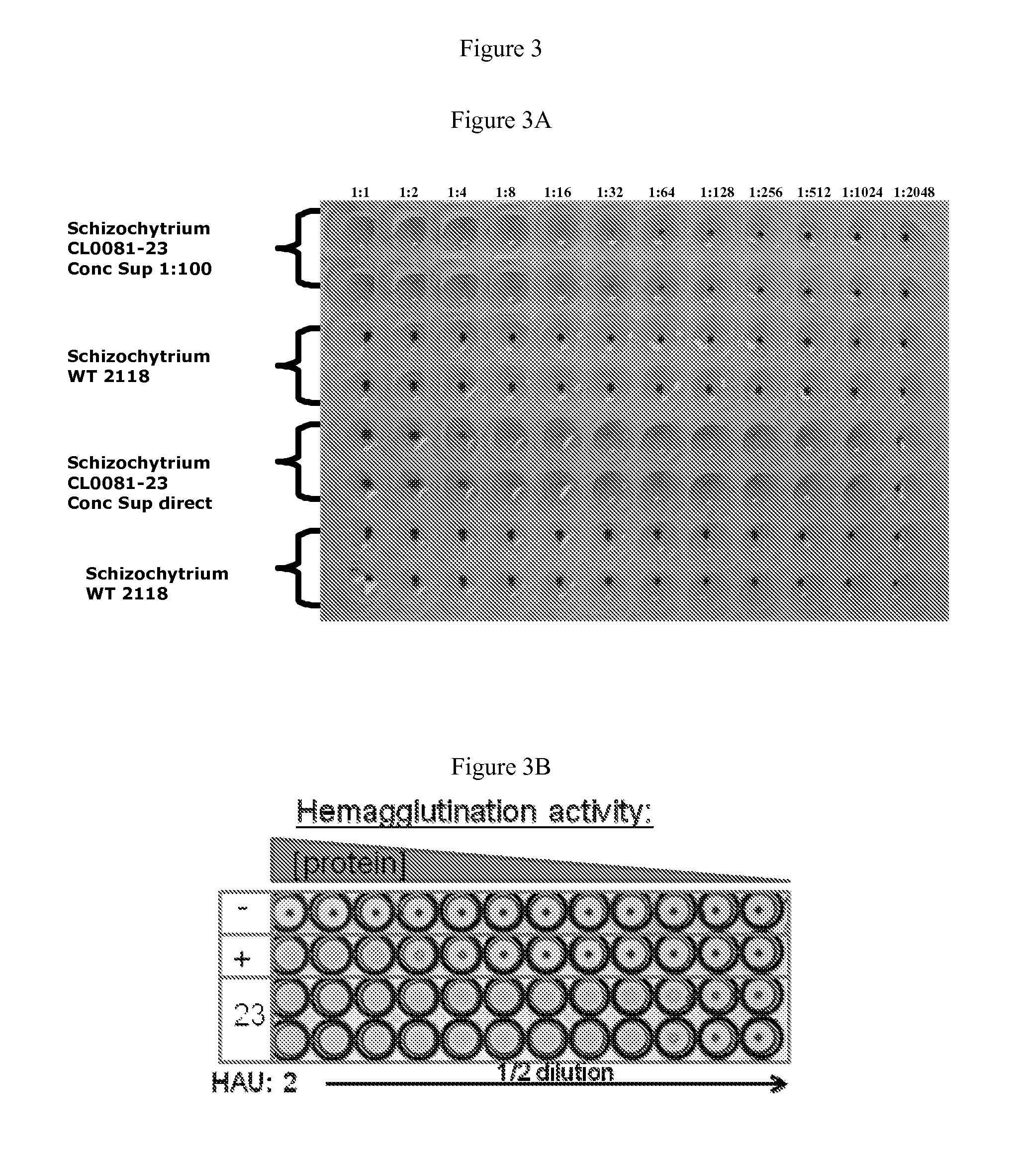 Recombinant ndv antigen and uses thereof