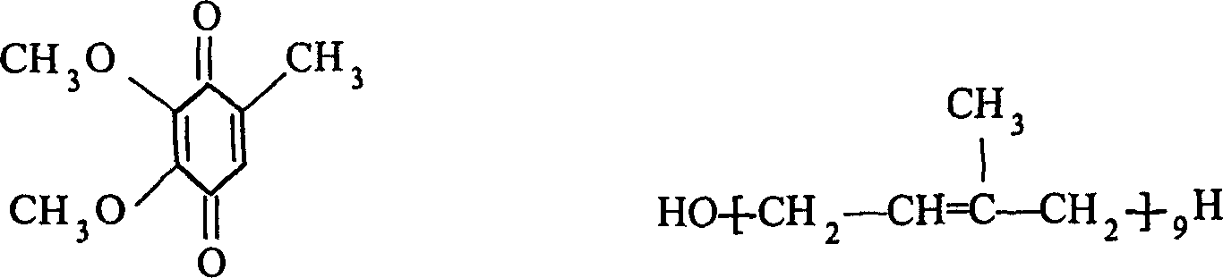 Art for synthesizing acetylide of coenzyme Q10 intermediate