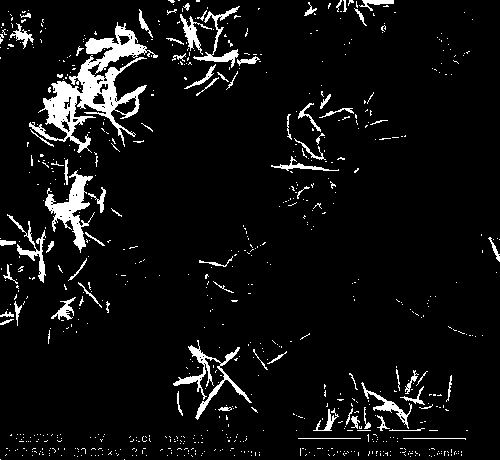 Preparation method and application of a kind of cobalt trioxide nano hollow sphere inlaid carbon flake-like composite material