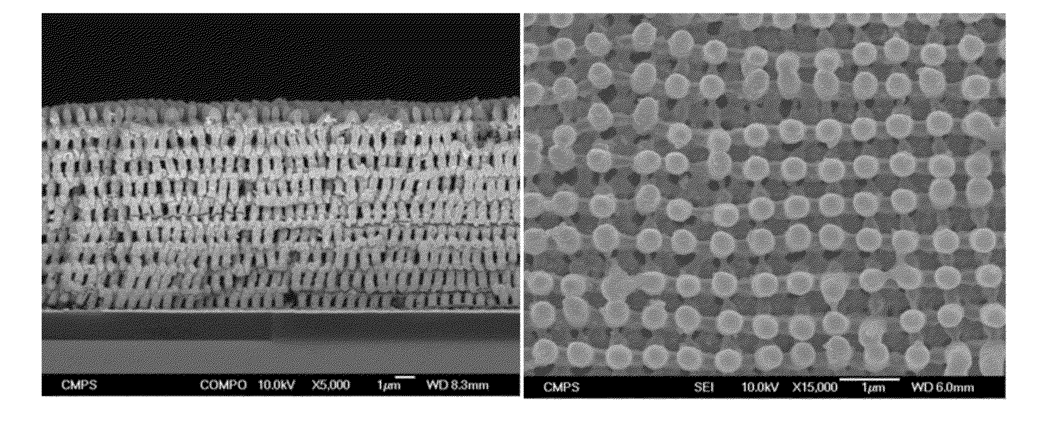 Method of manufacturing porous metal foam