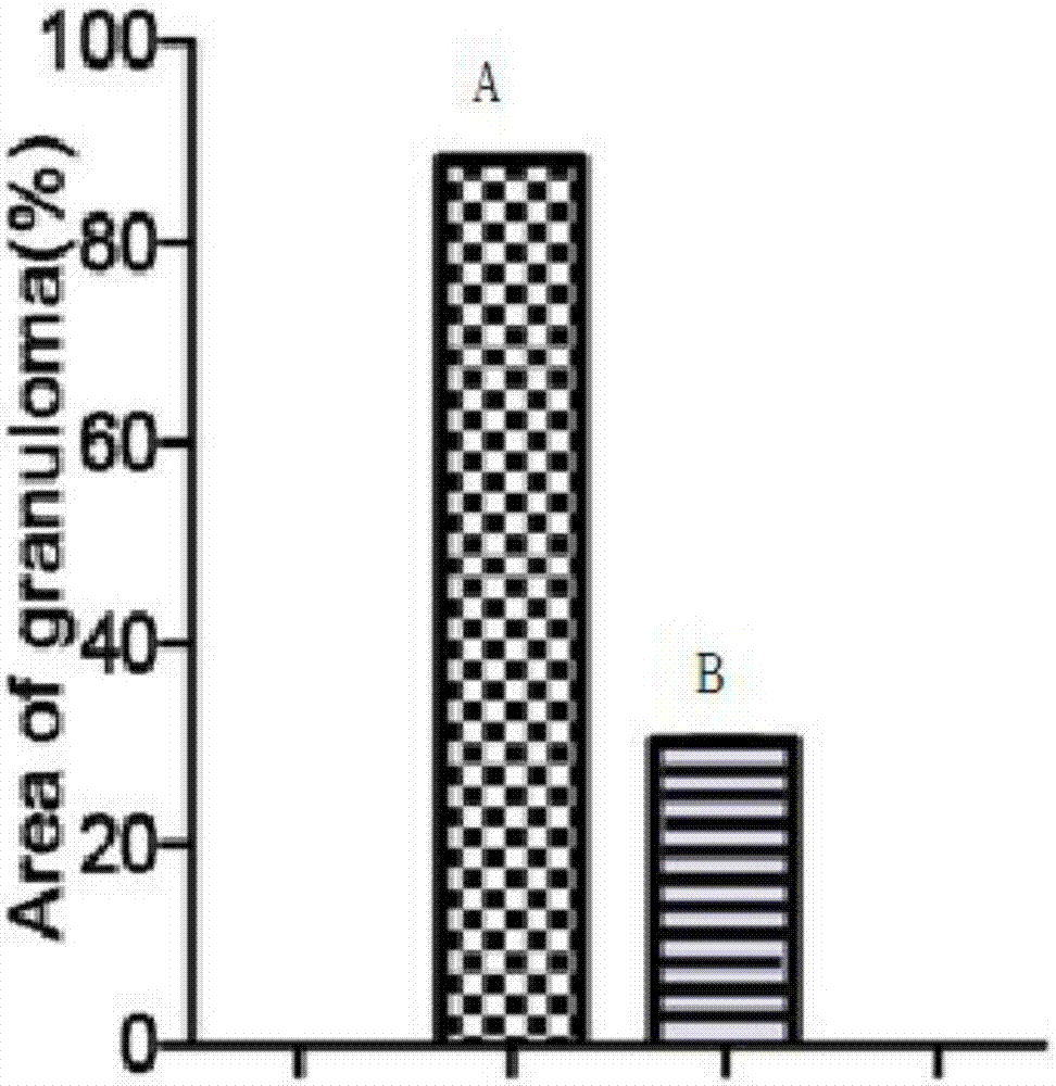 A kind of pharmaceutical composition for preventing and treating acute schistosomiasis infection