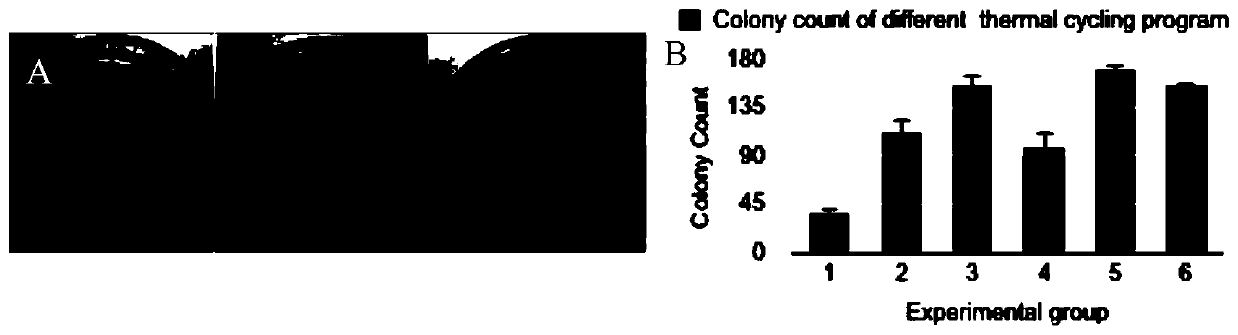 A one-step, seamless, non-homologous, multi-segment gene splicing transformation method and its kit