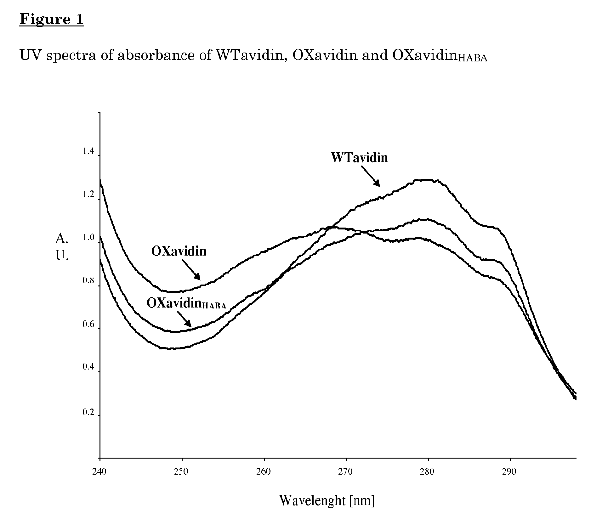 Oxidized avidin with high residency time in the treated tissues