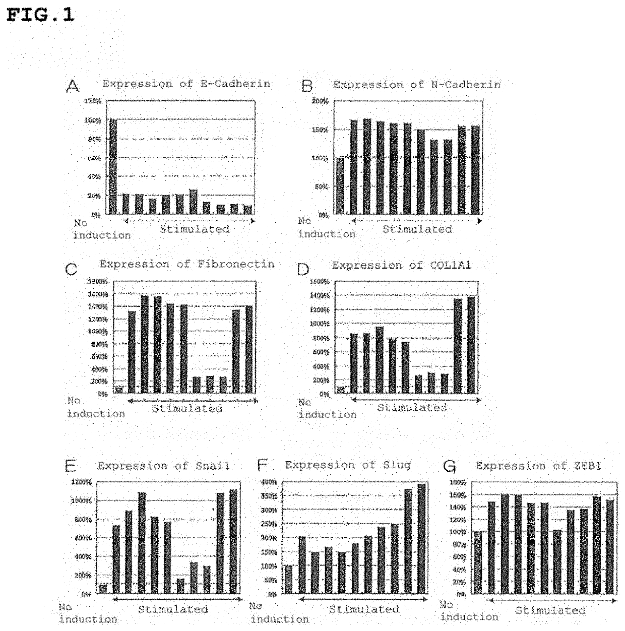 Choroidal neovascularization suppressor or drusen formation suppressor, and method for assessing or screening for same