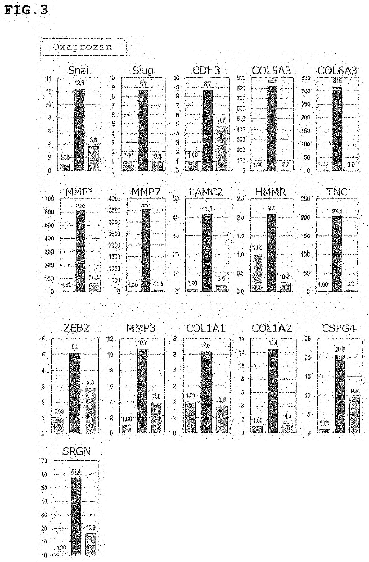 Choroidal neovascularization suppressor or drusen formation suppressor, and method for assessing or screening for same