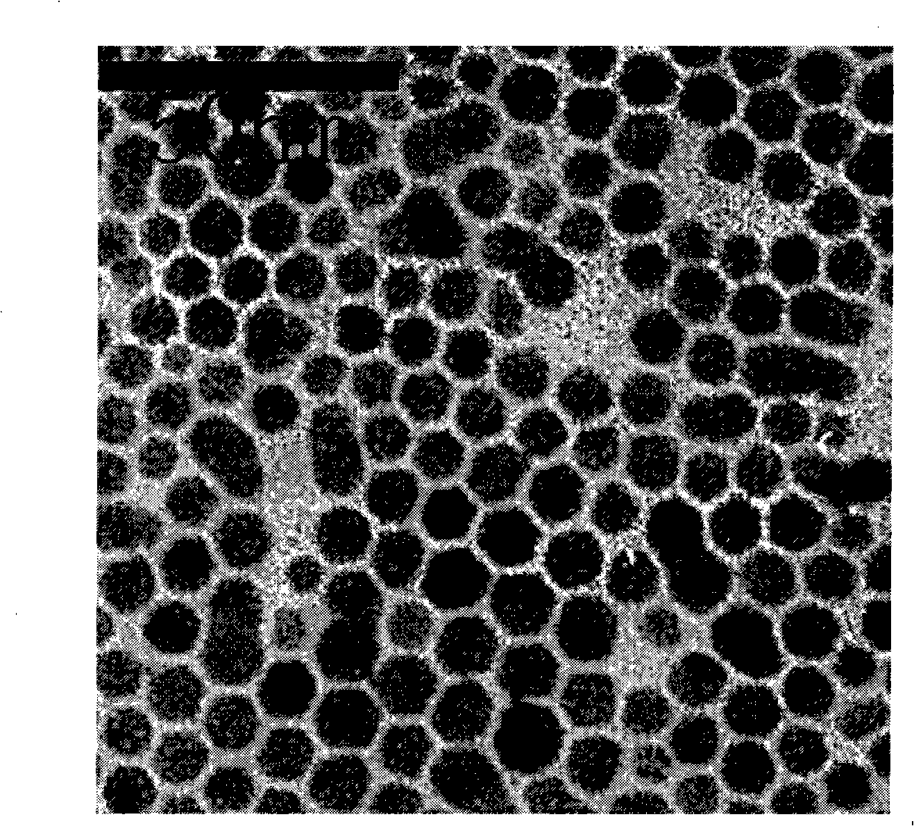 Preparation for monodisperse, argentic sulfide and silver selenide nanocrystal