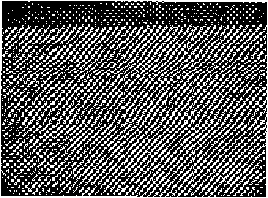 Method for preparing sliver-tin oxide and indium oxide electrical contact material by gradient internal oxidation method