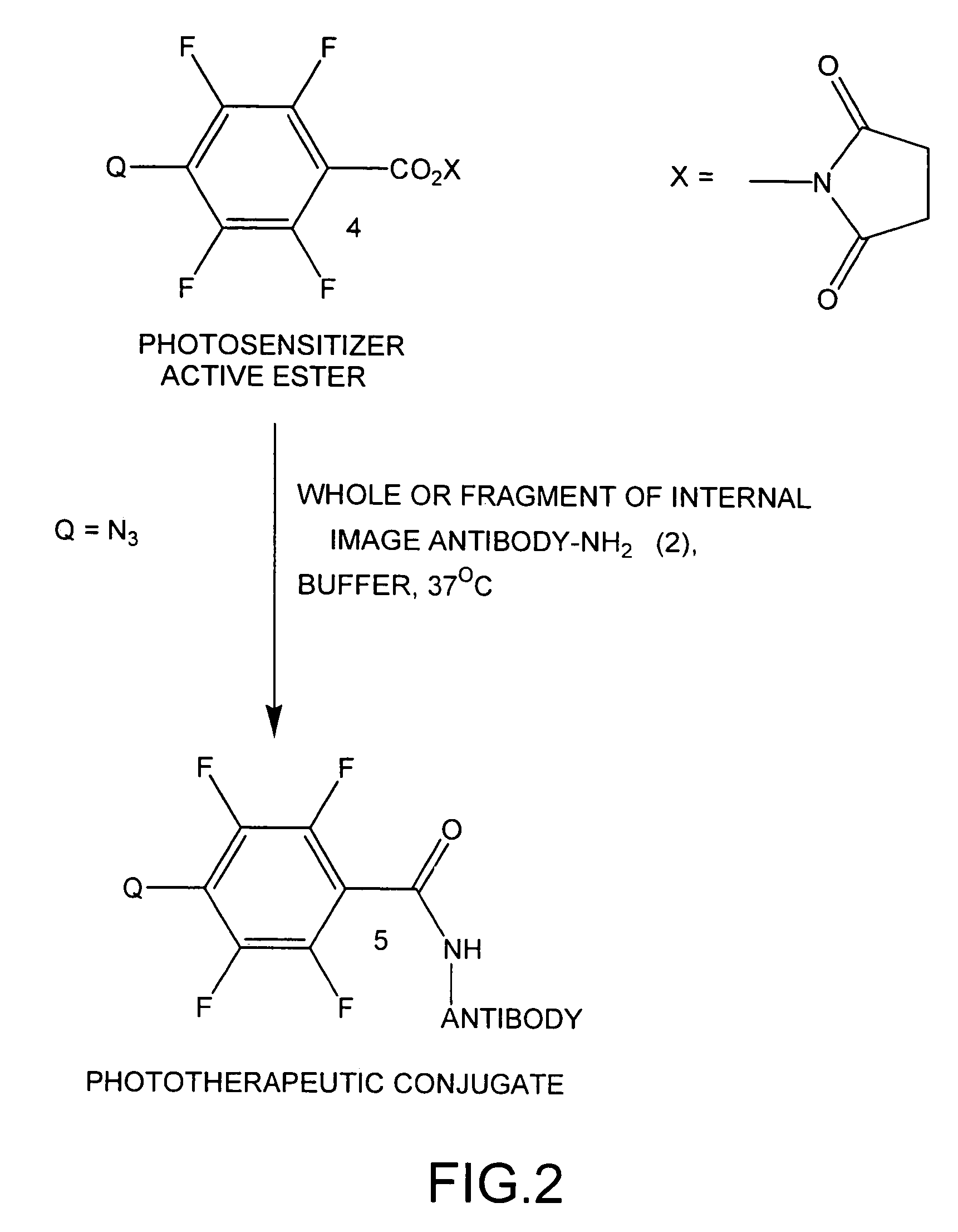 Internal image antibodies for optical imaging and therapy