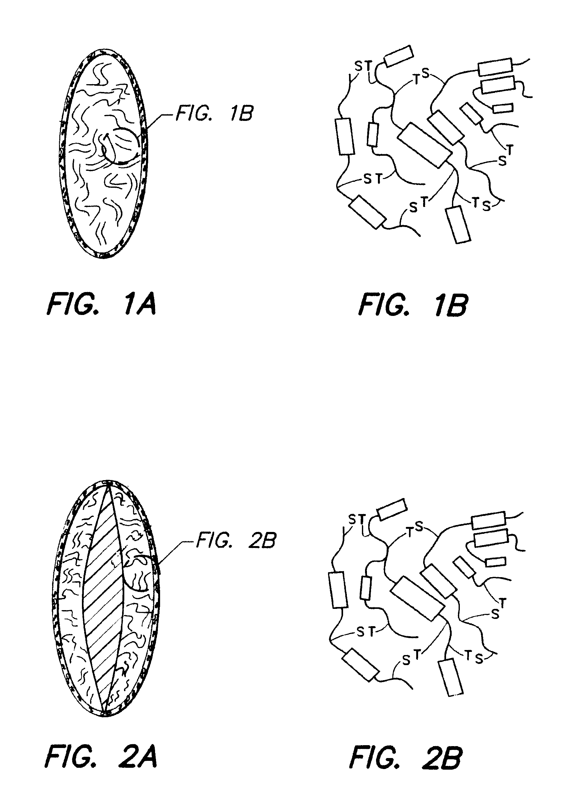 Ordered polymer system and intraocular lens