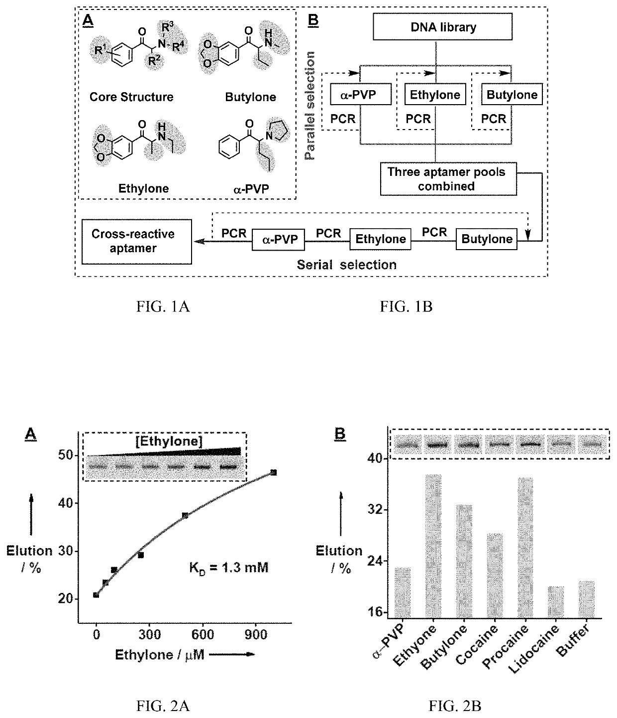 Method for isolating cross-reactive aptamer and use thereof