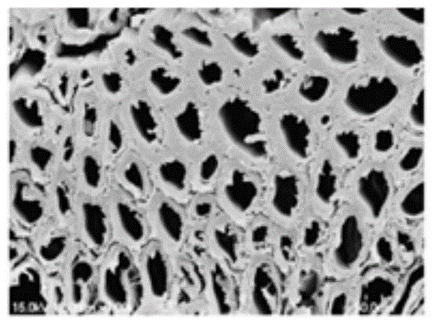 Preparation process of environment-friendly sugarcane peel fibers