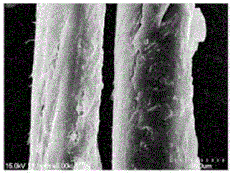 Preparation process of environment-friendly sugarcane peel fibers