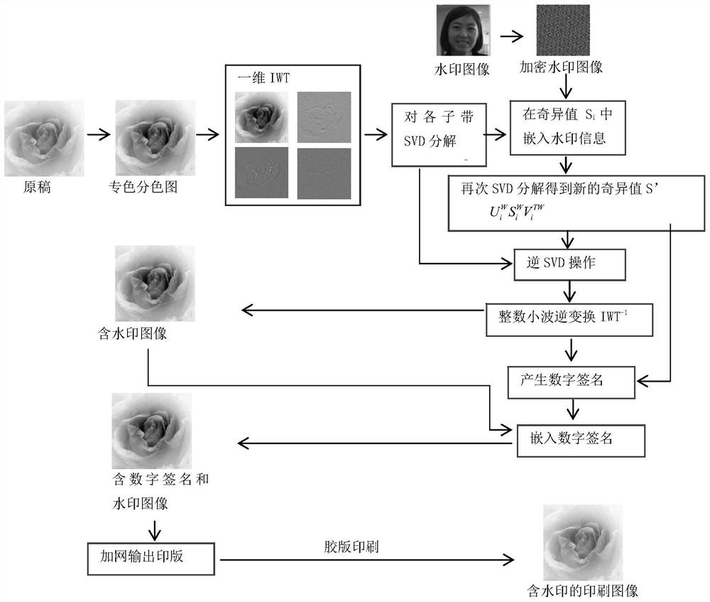 Spot color printing image digital watermarking method and system