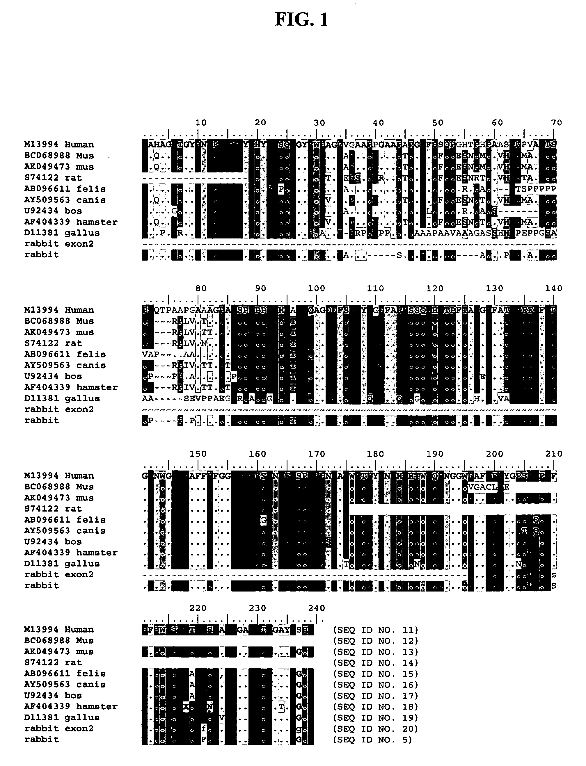 Suppression of B-cell apoptosis in transgenic animals expressing humanized immunoglobulin