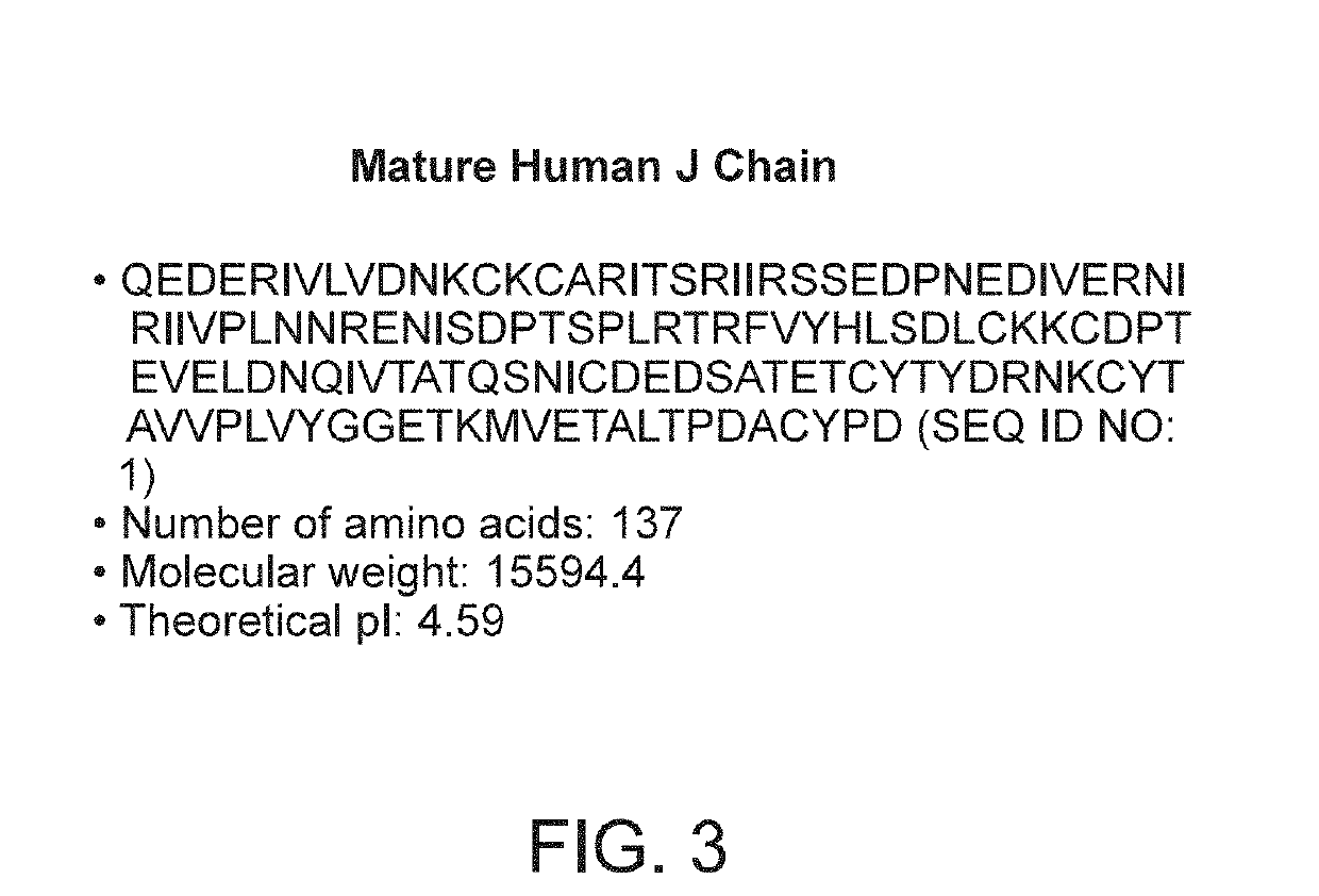 Binding molecules with modified j-chain