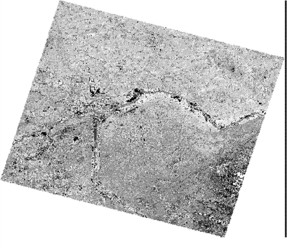 Manifold learning-based method for monitoring water quality by remote sensing