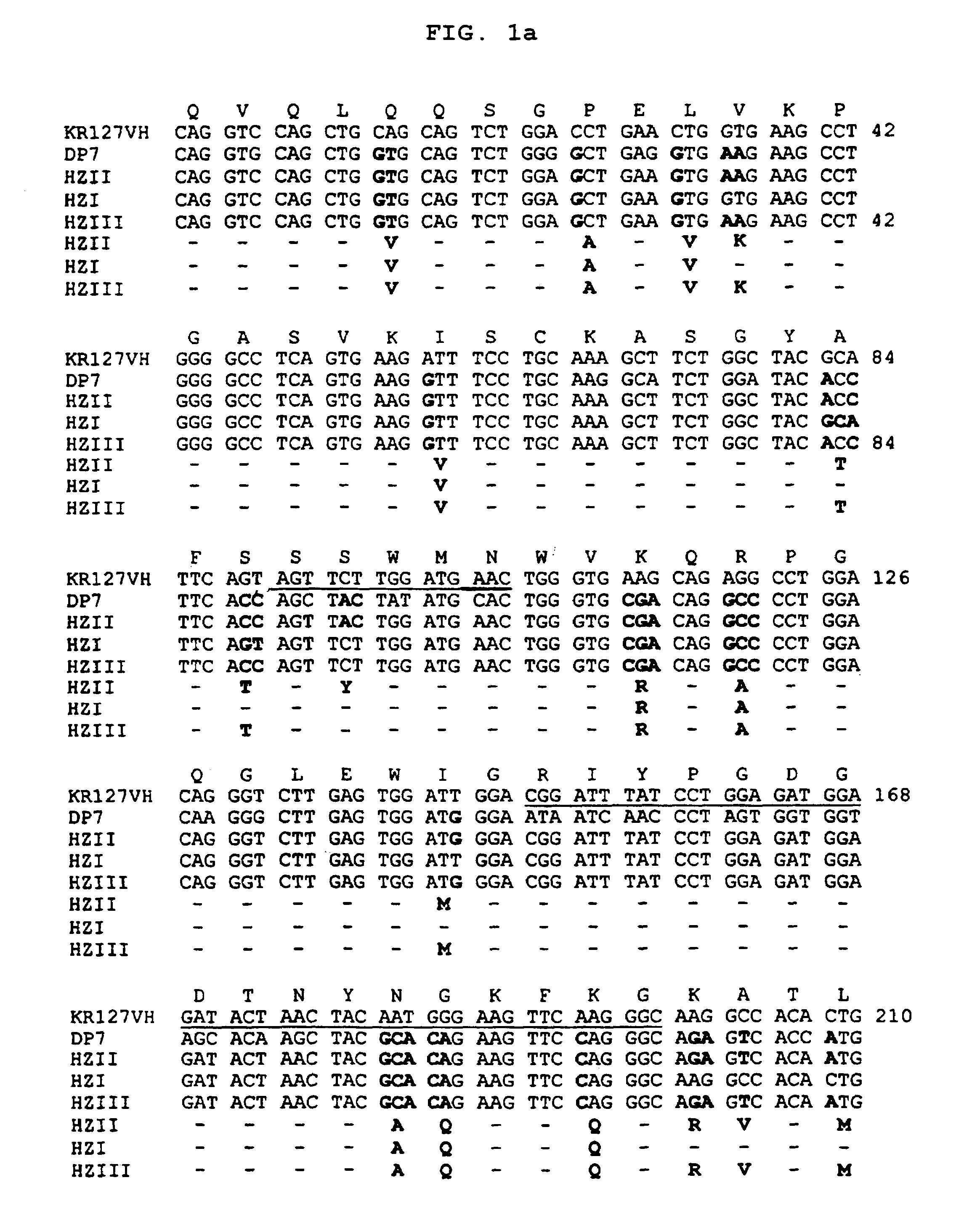 Humanized antibody specific for surface antigen pre-S1 of HBV and preparation method thereof