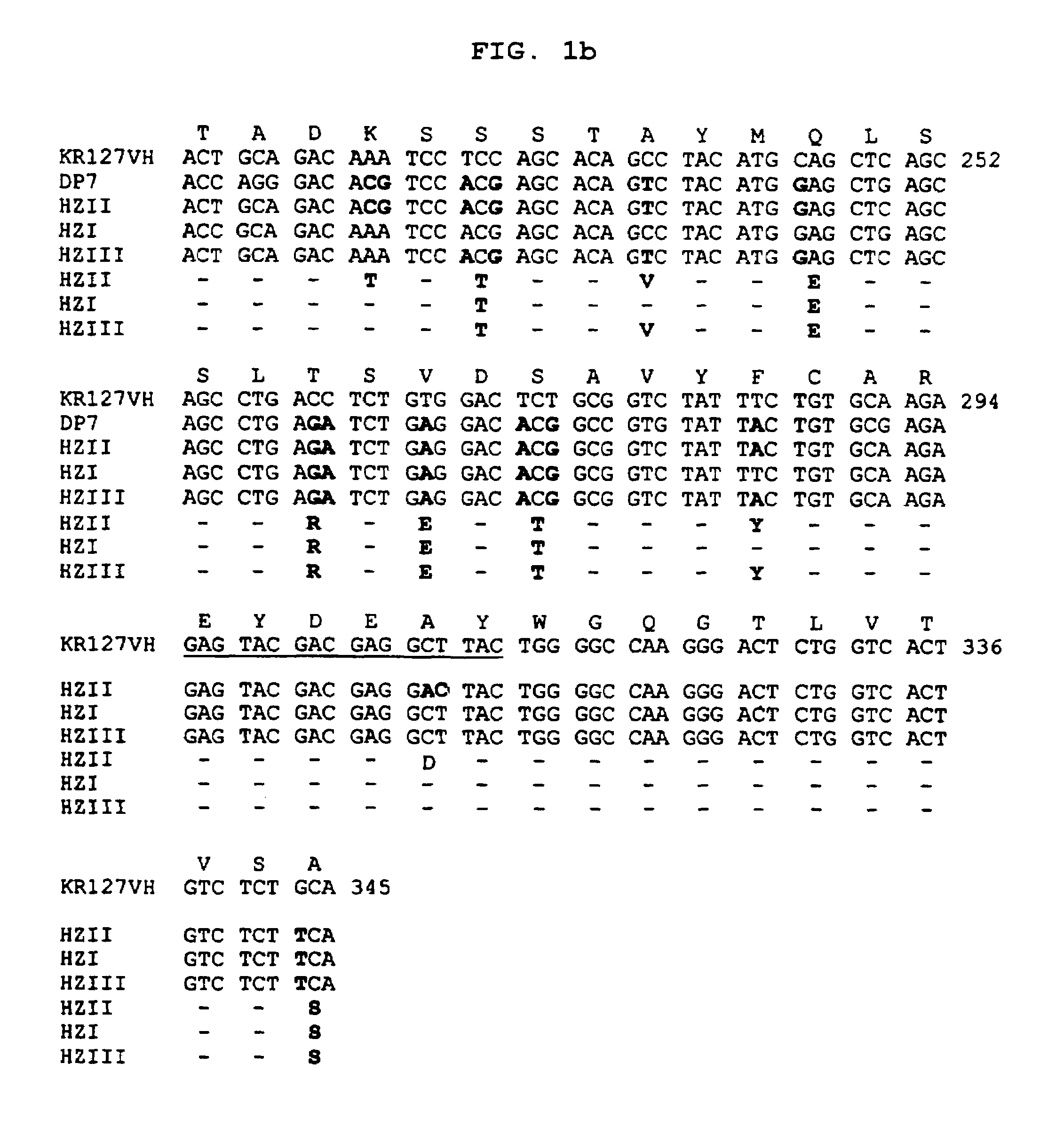 Humanized antibody specific for surface antigen pre-S1 of HBV and preparation method thereof