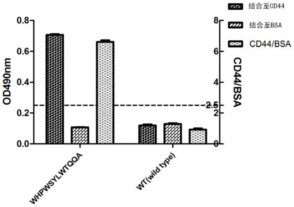 CD44 targeting polypeptide and application thereof for preparing affinitive probe used for screening early gastric cancer