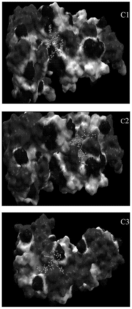 CD44 targeting polypeptide and application thereof for preparing affinitive probe used for screening early gastric cancer