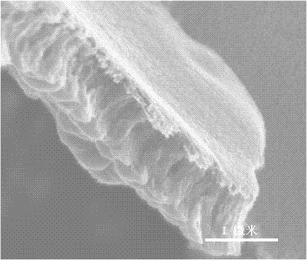 Nano porous metal/conducting polymer composite material and preparation method thereof