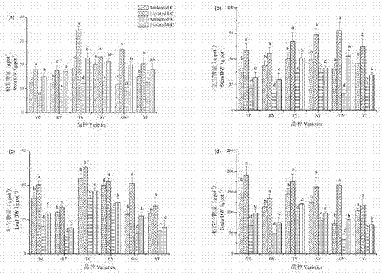 Remediation method for soil contaminated by heavy metal