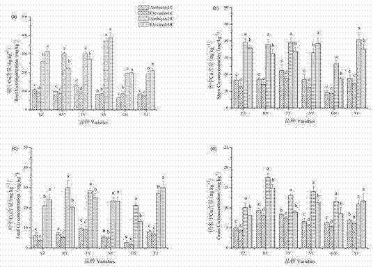 Remediation method for soil contaminated by heavy metal