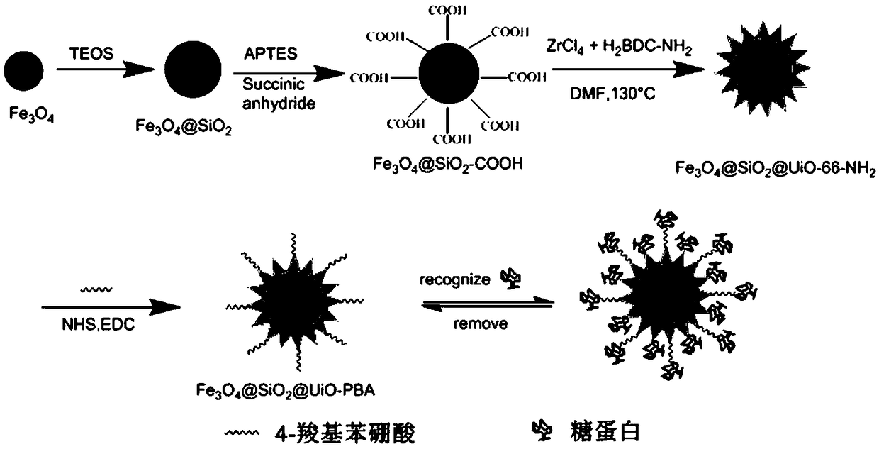 Phenylboronic acid functionalized magnetic metal organic skeleton microsphere and its synthesis method and use