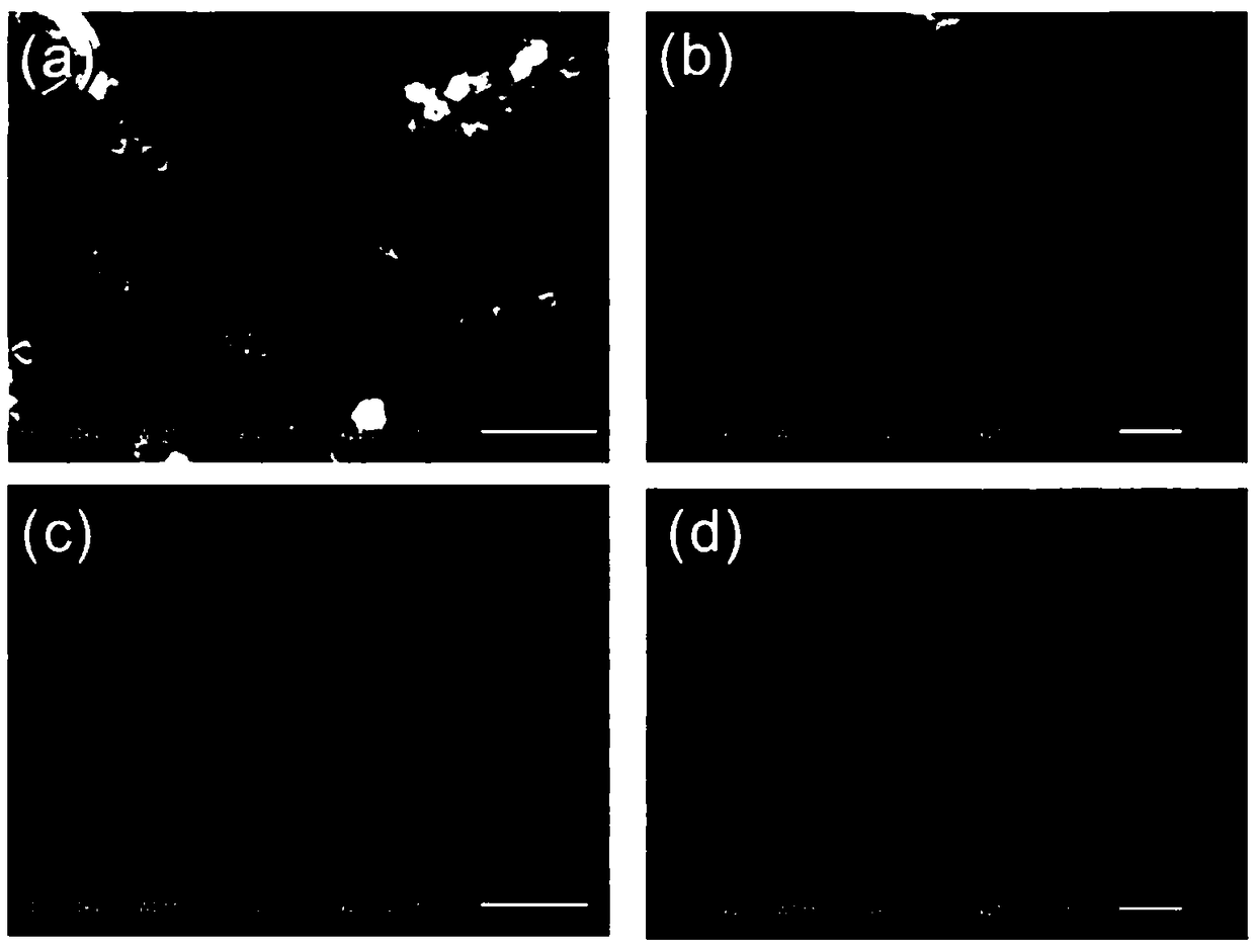 Phenylboronic acid functionalized magnetic metal organic skeleton microsphere and its synthesis method and use