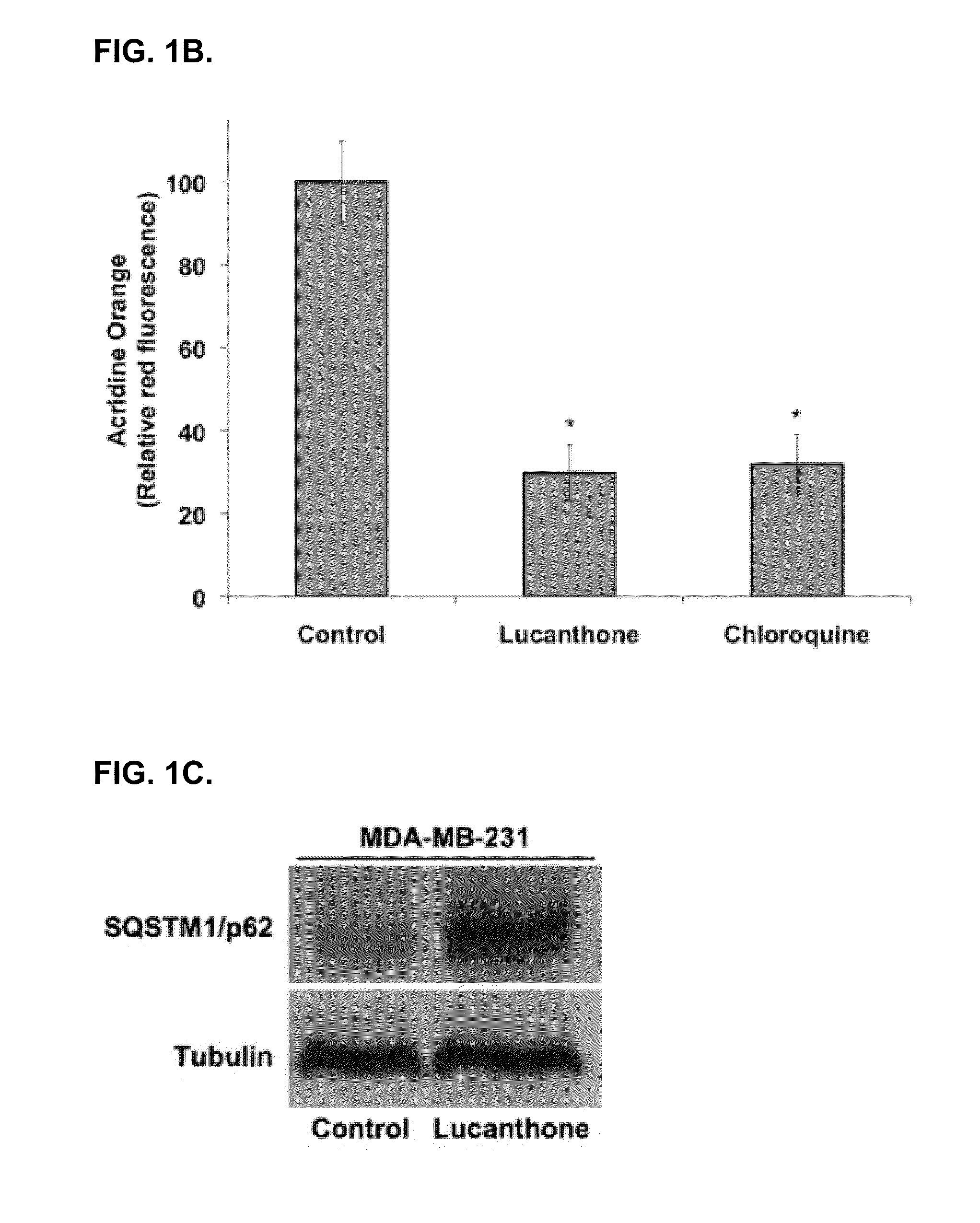 Thioxanthone-Based Autophagy Inhibitor Therapies to Treat Cancer