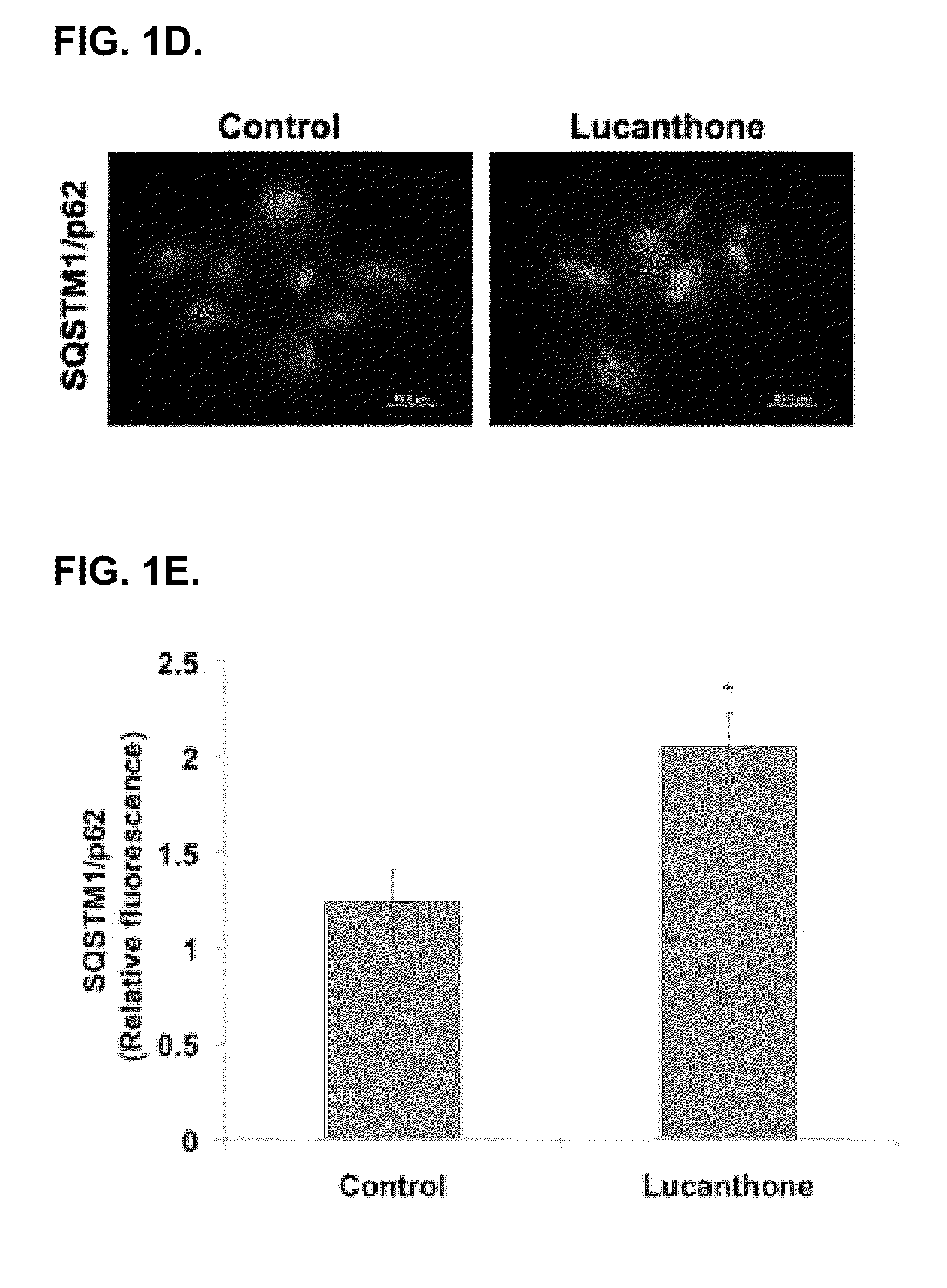 Thioxanthone-Based Autophagy Inhibitor Therapies to Treat Cancer