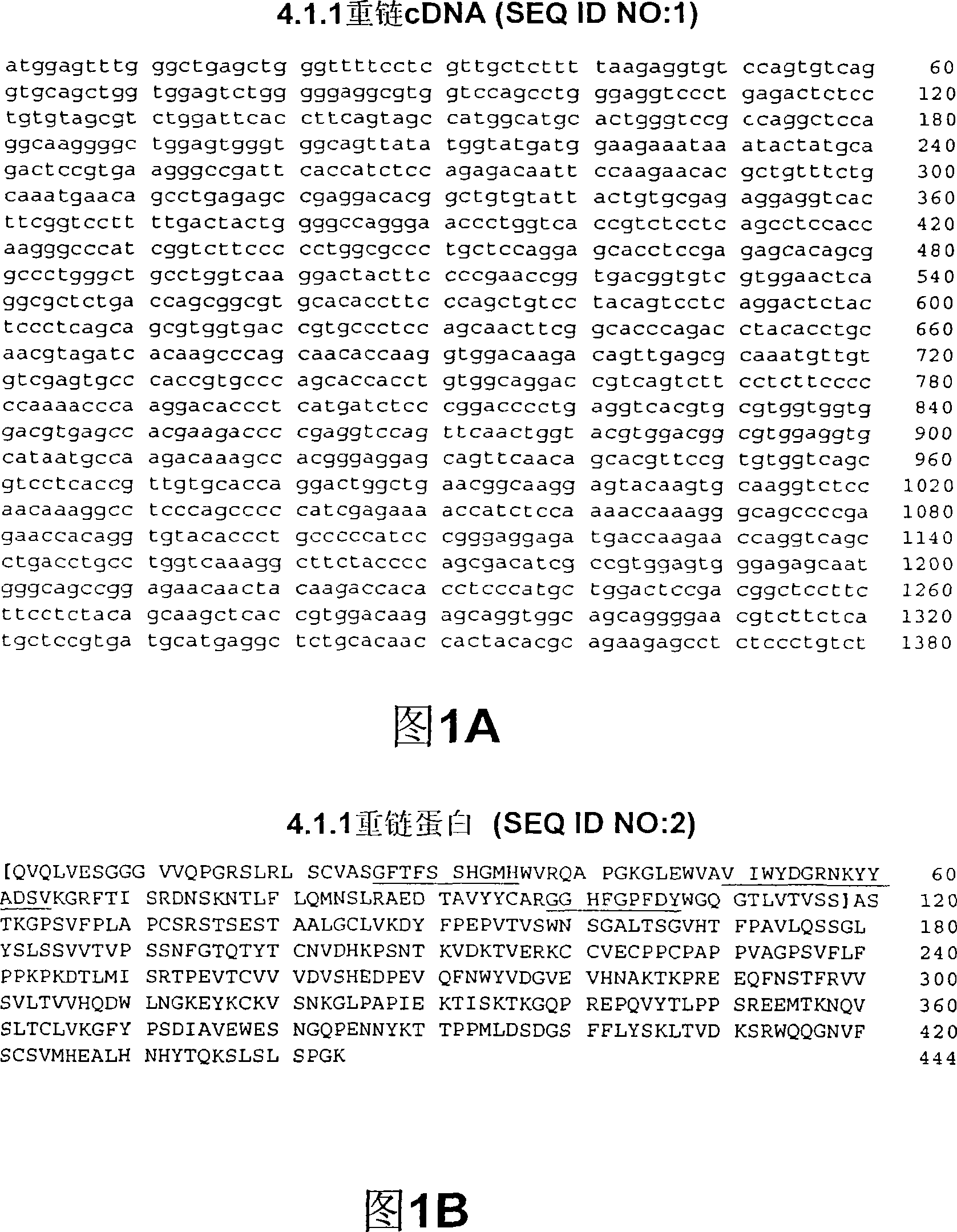 Therapy of prostate cancer with CTLA4 antibodies and hormonal therapy