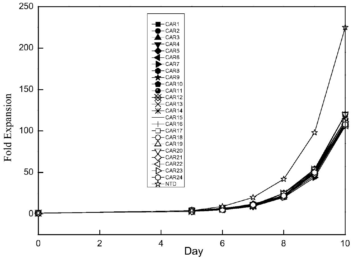 Application of engineered T cell with immune receptor for treatment of cancer