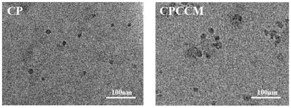 Bionic nano material as well as preparation method and application thereof