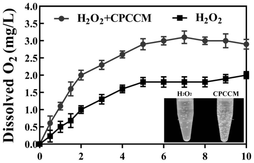 Bionic nano material as well as preparation method and application thereof