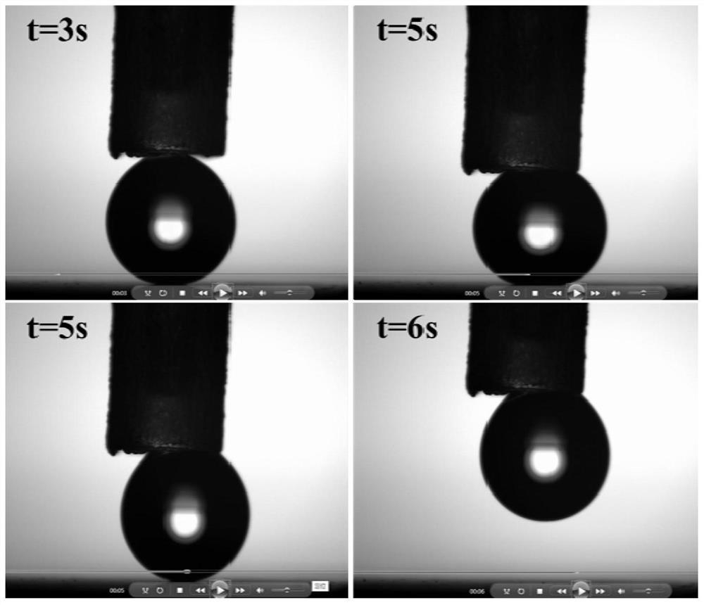 Superhydrophobic multifunctional coating with sequential drug release and preparation method thereof