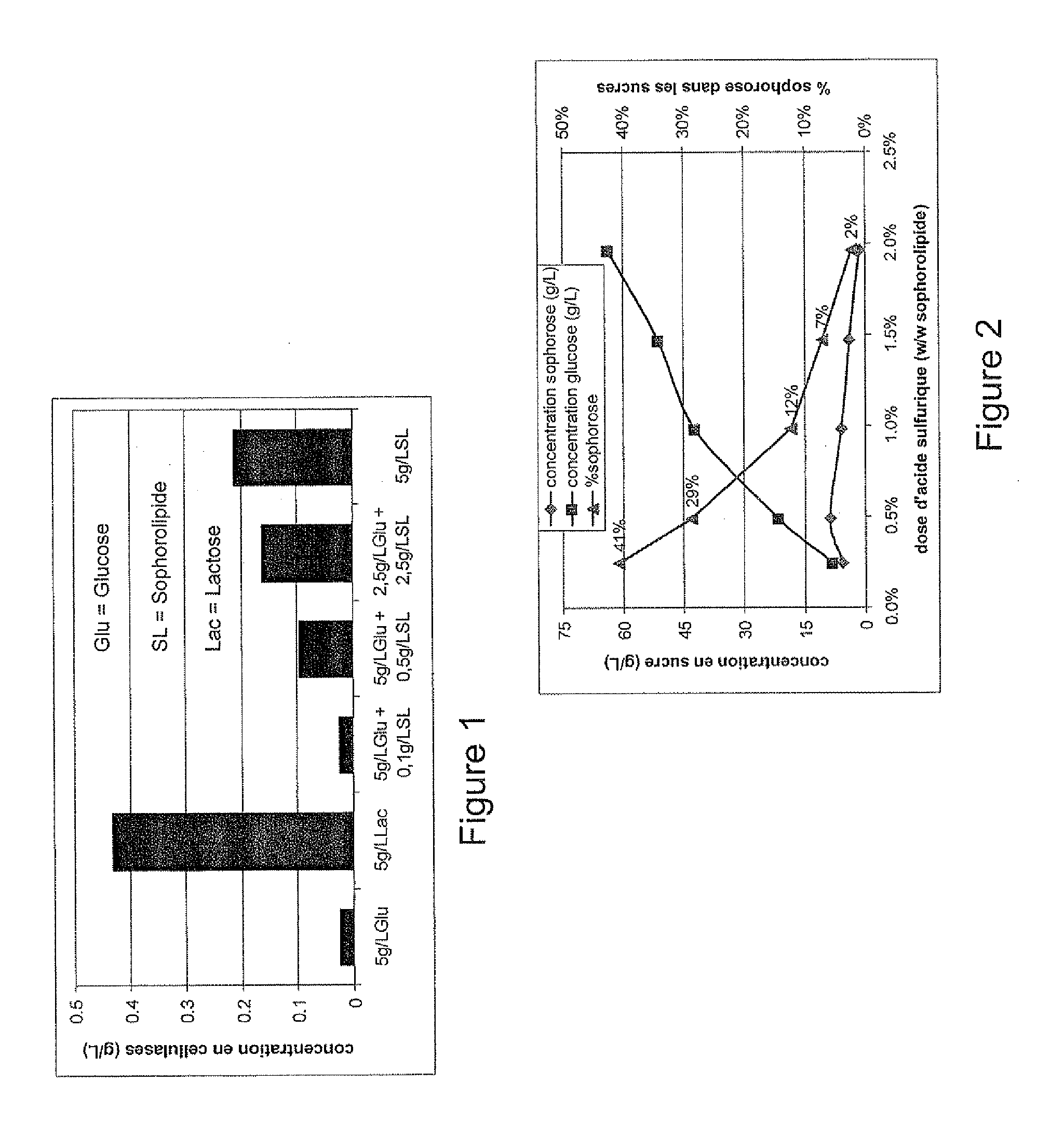 Process for the production of sophorose starting from sophorolipids