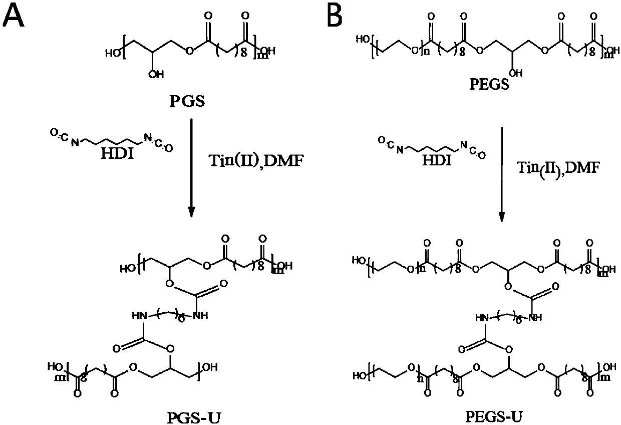 Isocyanate crosslinked polyethylene glycol-polyglycerol sebacate bio-elastomer as well as preparation method and application thereof