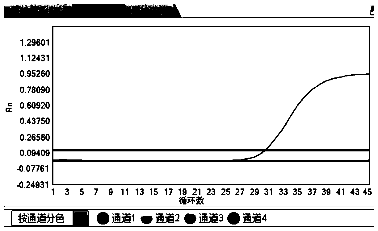 Fluorescent PCR detection system, kit and detection method for joint detection of various respiratory bacteria