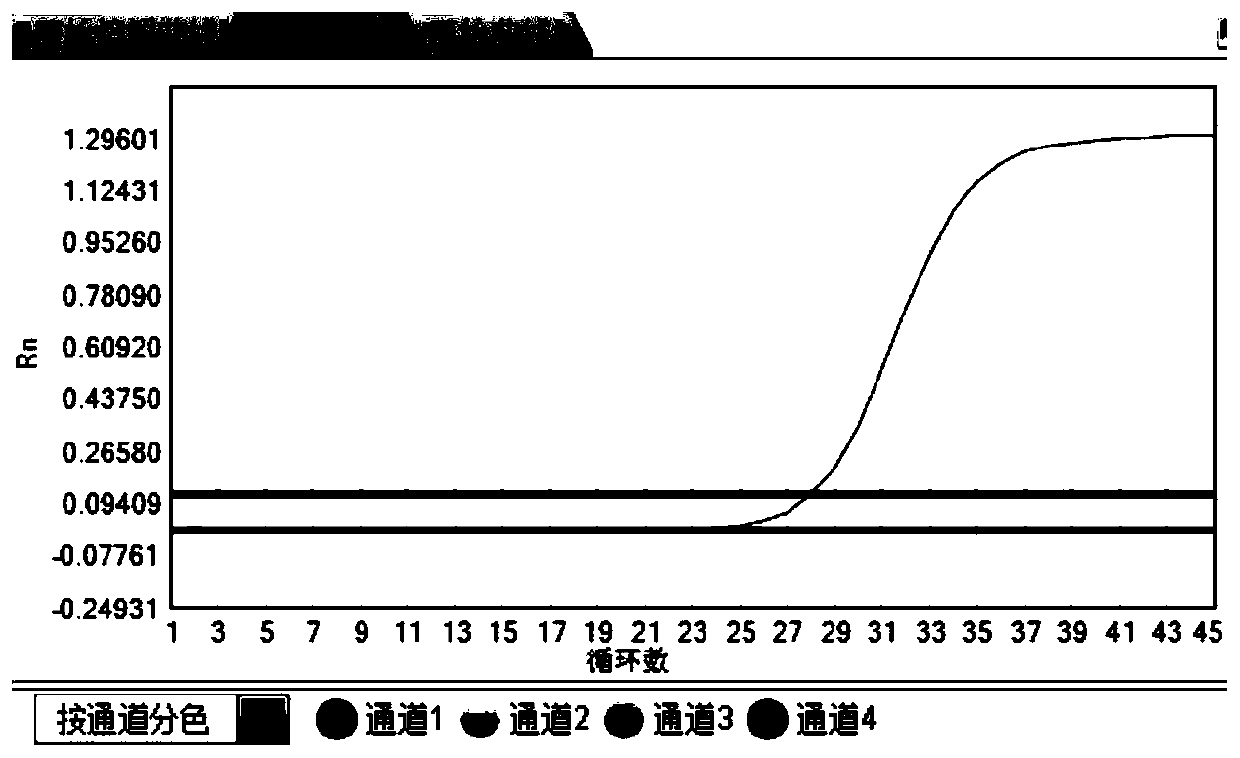 Fluorescent PCR detection system, kit and detection method for joint detection of various respiratory bacteria