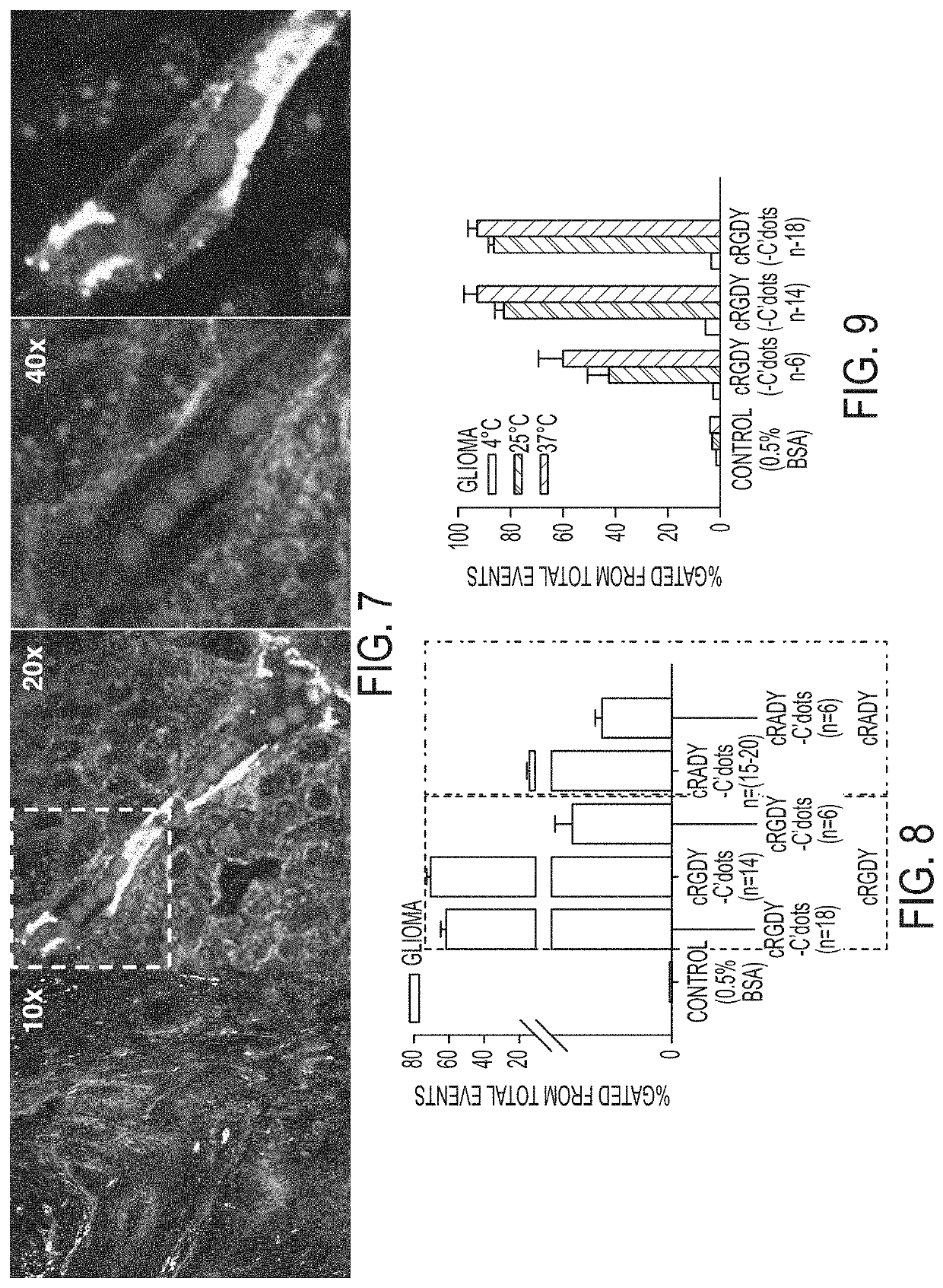 Compositions and methods for targeted particle penetration, distribution, and response in malignant brain tumors