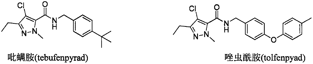 Preparation method and application of a 5-pyrazole amide compound with triazone structure