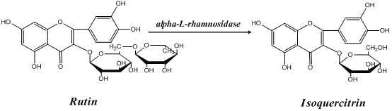 Application of alpha-L-rhamnoside enzyme in directional synthesis of isoquercitrin by biological conversion of rutin