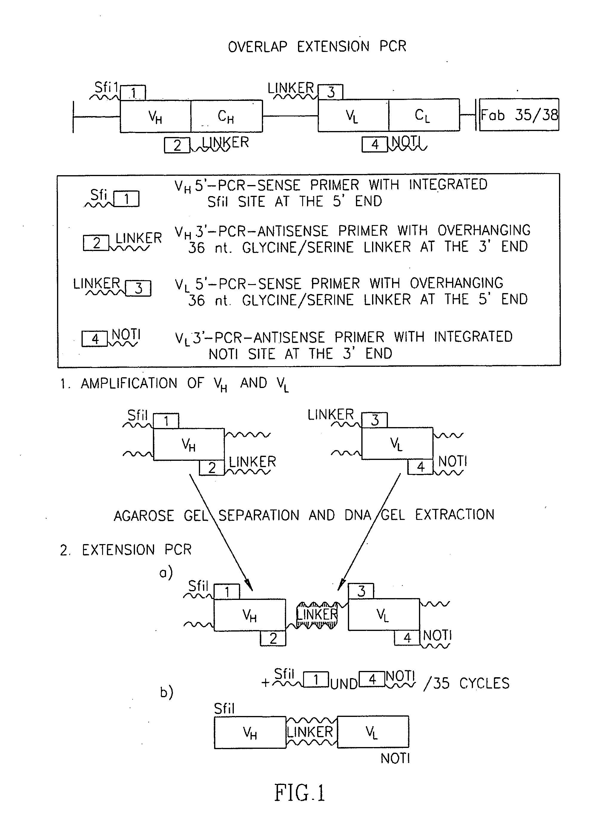 Immunotoxin derived from a recombinant human autoantibody and method of using thereof