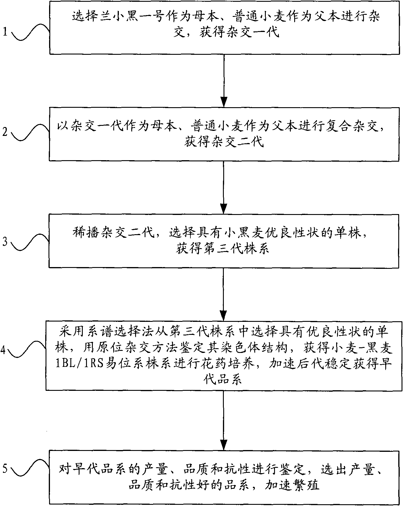 Method for selectively breeding wheat-rye 1BL/1RS translocation lines