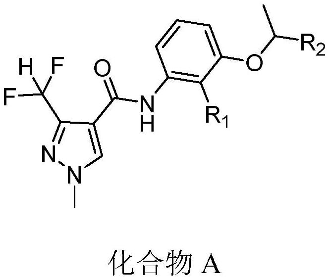 Bactericidal composition preparation and application thereof