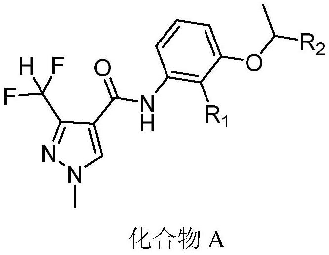 Bactericidal composition preparation and application thereof